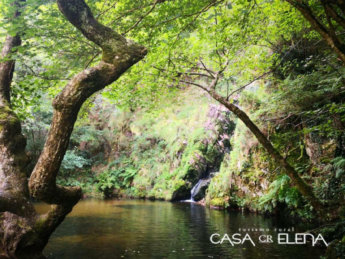 ホテル Casa Elena Turismo Rural Reinante エクステリア 写真